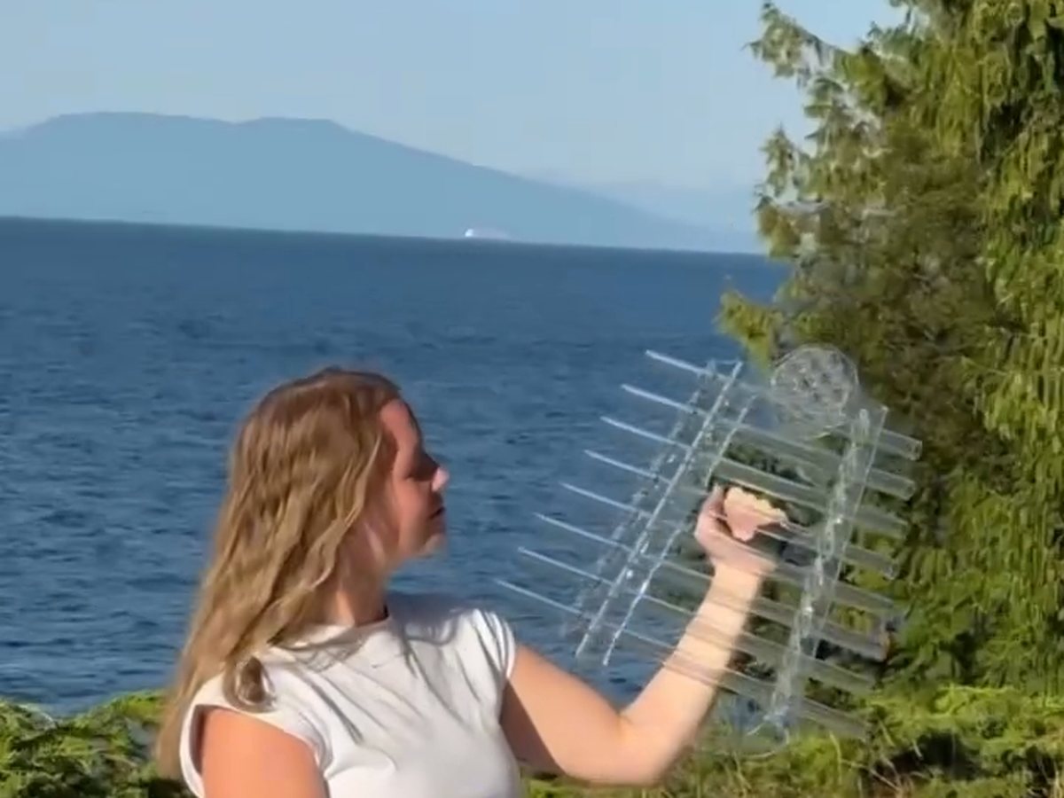 A sound healing retreat in nature with the Crystal Harp